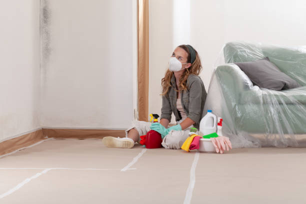 Reliable Basement Mold Remediation contractor in Walkersville, MD by WQB Mold Removal